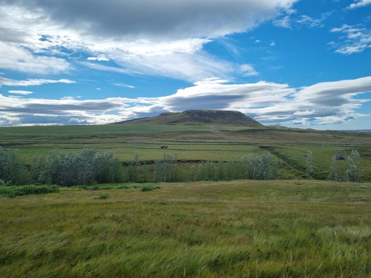 Vila Kambar Selfoss Exteriér fotografie